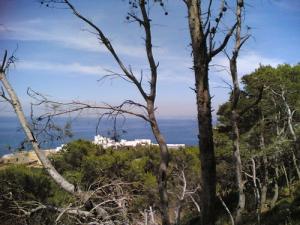 مجمع سياحي بساحل ولاية تيبازة