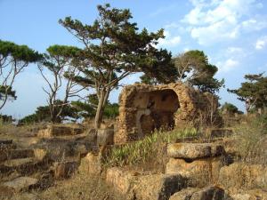 فرن من العهد الروماني بولاية تيبازة