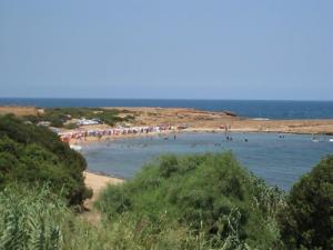 صورة لشاطئ  كوالي  في الفترة الصيفية (ولاية تيبازة)