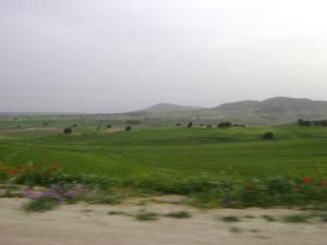 منظر طبيعي من بلدية  طاورة