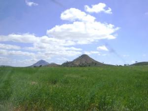 الحقول الخضراء لولاية سوق أهراس في فصل الربيع