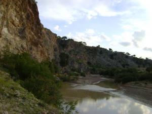 منظر من ضواحي  سوق أهراس