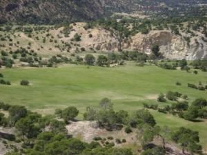 منظر طبيعي من ولاية  سوق أهراس