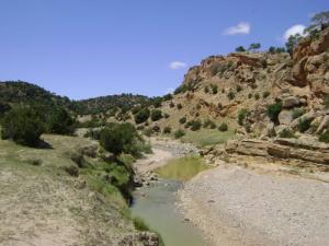 أحد أودية  سوق أهراس