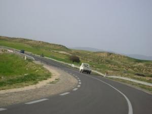 مدخل  سوق أهراس