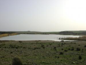 صورة من سد ولاية  سوق أهراس