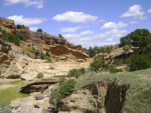 منظر من ضواحي  سوق أهراس  2