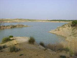 صورة من أحد أودية  سوق أهراس