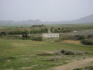 الحقول الفلاحية بضواحي  سوق أهراس