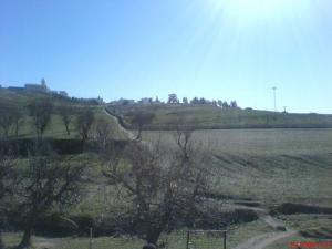 حقول زراعية بضواحي سوق أهراس