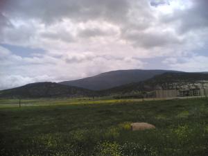 صورة من ضواحي جامعة  خنشلة