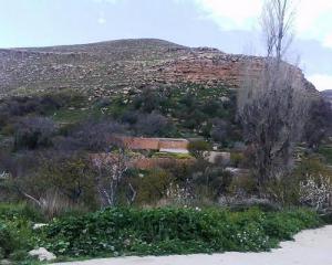 منظر من ضواحي  عين عديل