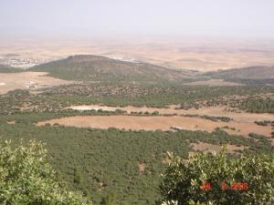 منظر من غابات ولاية  خنشلة