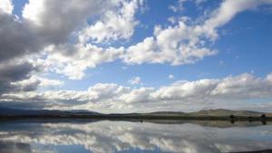 بحيرة بلدية  المحمل