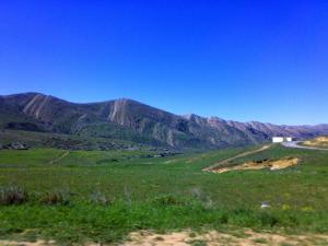 الحقول الربيعية لبلدية  شيلية