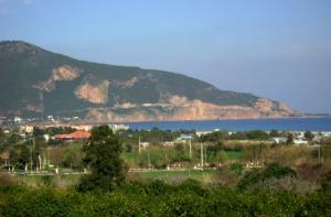 صورة لساحل و جبل 