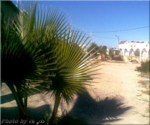 ساحة مسجد أبو بكر الصديق بمدينة 