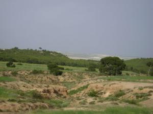 منظر من ضواحي 