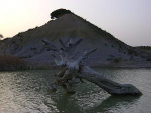 الأودية المجاورة لمدينة 