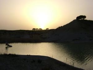 غروب الشمس على سد ولاية 