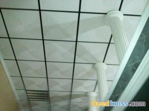 faux plafonds démontable