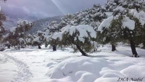 ouacif sous la neige