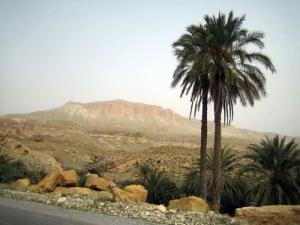 منظر طبيعي بضواحي بلدية  شرشار