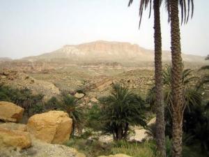 واحات بلدية  شرشار