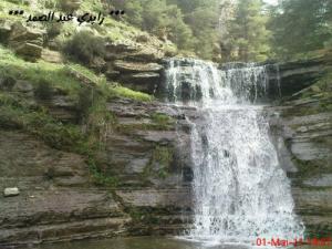 شلال بغابة  شيلية