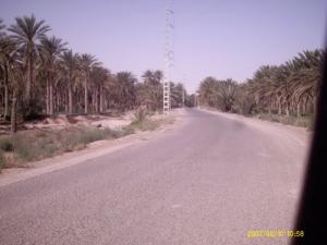 المدخل الغربي لقصر سيدي خليل