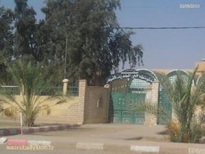 ثانوية الأخوان  بن ناجي  بمدينة الواد (1)