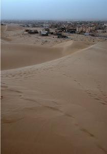 منظر شبه صحراوي بضواحي مدينة  الواد  (1)