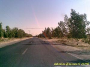 الطريق الوطني رقم 16 اتجاها نحو بلدية  حسني عبد الكريم