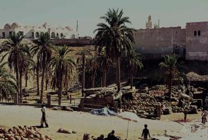 صورة لمدينة  الواد  في شهر نوفمبر 1978