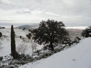 الثلوج تغطي بلدية  ثنية الحد