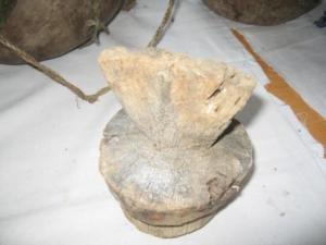 Semaine culturelle à la bibliothèque municipale de Draa Kébila