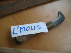 Semaine culturelle à la bibliothèque municipale de Draa Kébila