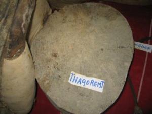 Semaine culturelle à la bibliothèque municipale de Draa Kébila