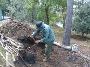 Le compost végétal du jardin des 