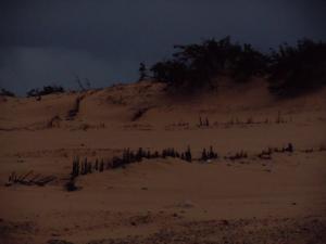 منظر ليلي بضواحي مدينة 