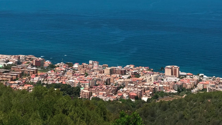 forêt de Bainem, Algérie 